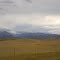 Montana Crazies