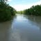 Milk River at Vandalia, Montana