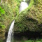 Upper Latourell Falls (120')