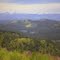 Mission Range in distance seen from Boyd Mtn. on the Blackfoot/Clearwater Wildlife Management Area