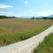Big Prairie, Glacier National Park