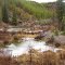 Beaver ponds near North Fork of the Flathead from the road