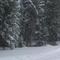 snow
