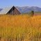 Wood Barn in Montana
