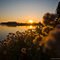Lake Blaine Sunset