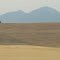 Contrasting Golden Grasslands And Blue Mountains Near Columbia Falls MT Sep '12