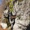 Perkiomen Trail Lichens