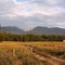 Between Darby and Jackson, Montana in July