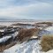 Contrasting Gold, White, Brown And Blue In First Peoples Buffalo Jump State Park Near Great Falls Montana Jan '12