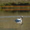 Harpers Lake