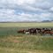 COME TOGETHER,MONTANA,U.S.A