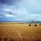 Center-pivot sprinkler in a Montana wheat field