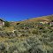 Montana Homestead