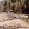1981 flood