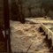 1981 flood