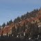 Contrasting Green Pines, Red Rock And Blue Sky Near Boulder MT Jan '13