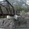 Natural Pier Bridge