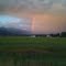 Montana Rainbow