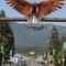 Libby, City of Eagles