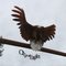 Libby Montana, City of Eagles