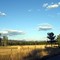 Hay Bales....