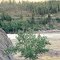 Clark Fork Of The River By Plateau Peak Lookout