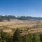 Fall colors along the Yellowstone River in Paradise Valley