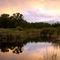 DePuy's Spring Creek