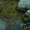 Canyon Creek in the Bitterroot Mountains, Montana