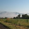 Foggy Morning 2