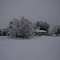 Most snow here in memory
