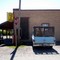 Lion in Truck outside CPT
