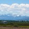 MT July 2010