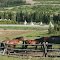 Montana Horses Pose in Front of Tee Pee's at The Yellowstone Mountain Club