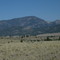 Sleeping Giant