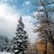 Autumn Snow Red Lodge
