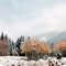 Autumn Snow Panorama