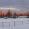 Sunrise on Nussbaumer Park - 200811LJW