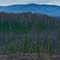 Creamer's Field to Cranberry Ridge