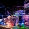 Ice sculpture in the Fairbanks Ice Museum