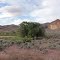 Bensley Flat