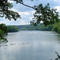 New River @ Bisset Park