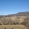 Near Whitethorne va