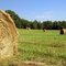Hay bales (part 2)