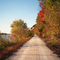 Katy Trail south of Rocheport