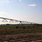 Irrigation