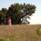 Brick silo