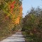Along the Katy Trail in Fall