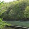 Current River - April