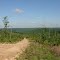 county rd 2221